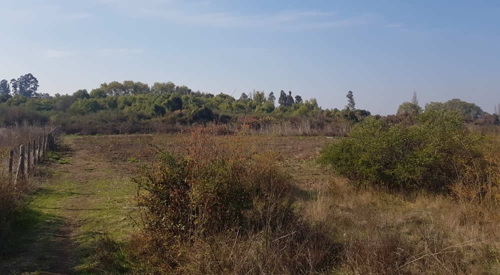 Parcela en venta en Coihueco