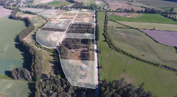 Parcela de 5.000 m2 en Peralillo, 6° Región