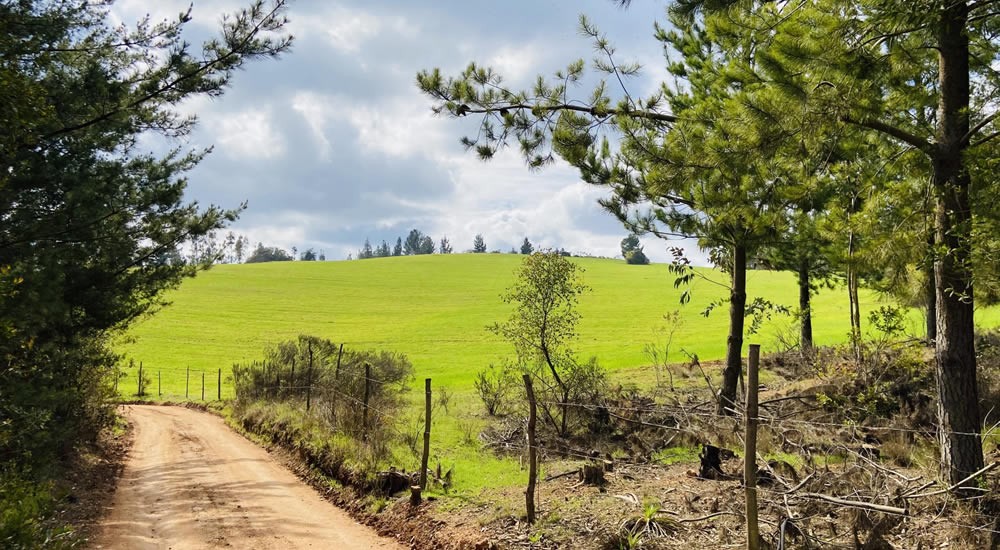 5.000 m2, Pichilemu, 6° Región