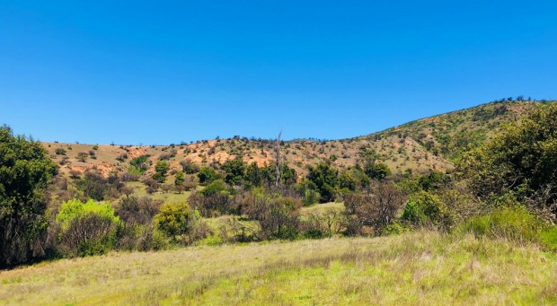 Parcela de 5.000 m2 en Marchigue, 6° Región