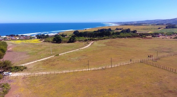 Parcela de 5.000 m2 Pangal, Pichilemu